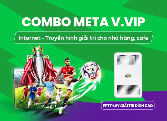 Combo Meta V.VIP Internet và Truyền hình FPT